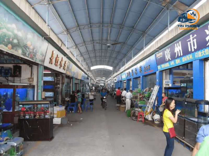 Chợ cá Quảng Châu (Guangzhou)