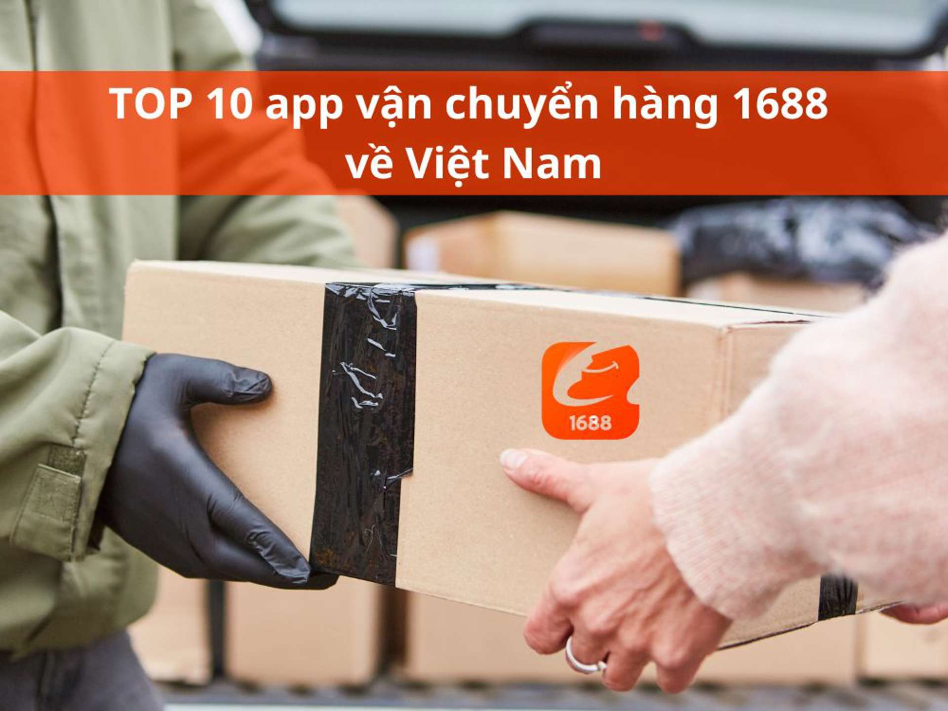 TOP 10 app vận chuyển hàng 1688 về Việt Nam uy tín, nhanh gọn
