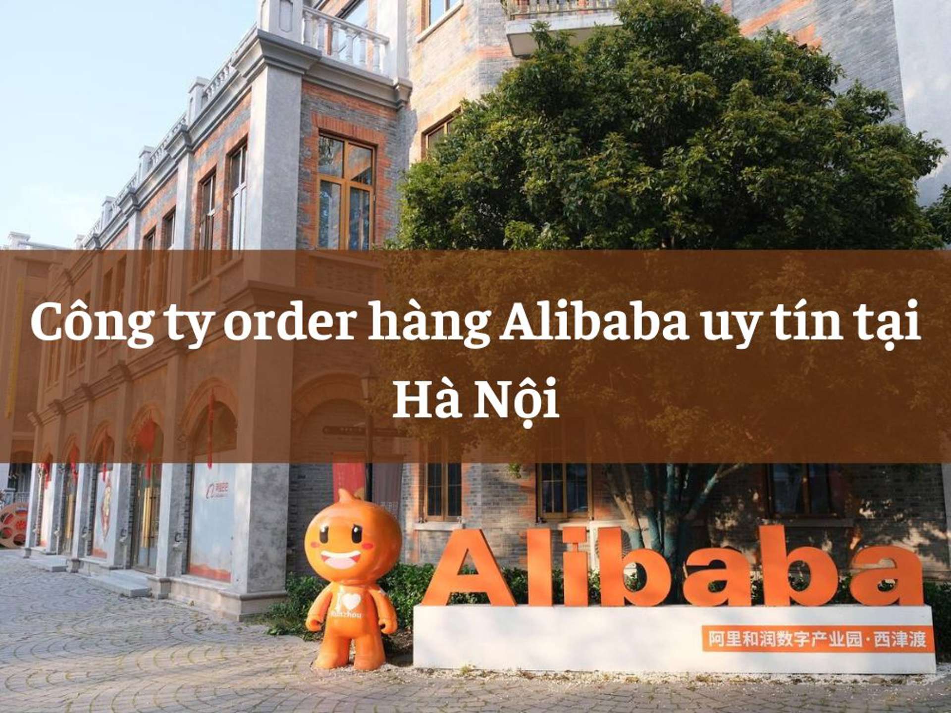 TOP 3 công ty order hàng Alibaba uy tín tại Hà Nội