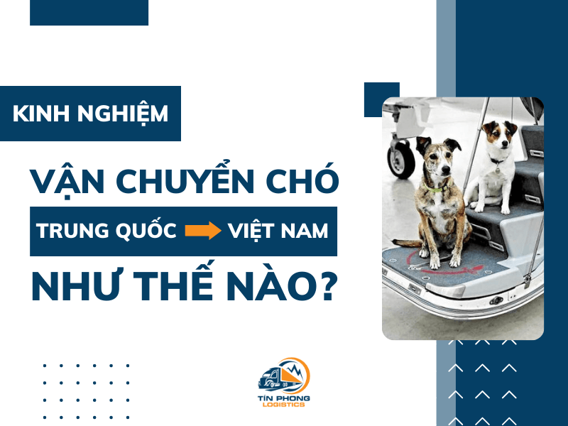 Vận chuyển chó từ Trung Quốc về Việt Nam như thế nào?